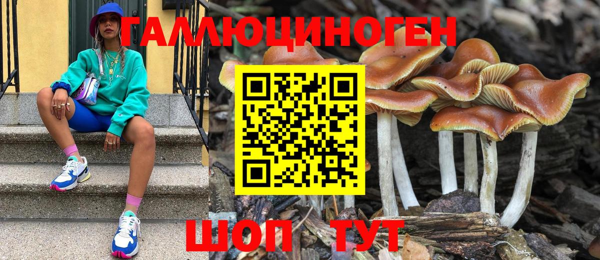Лабинск  Псилоцибиновые грибы прущие грибы  Вход с VPN  Галлюциногенные грибы мухоморы 