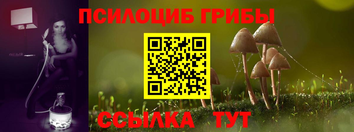Псилоцибиновые грибы Psilocybine cubensis Лабинск